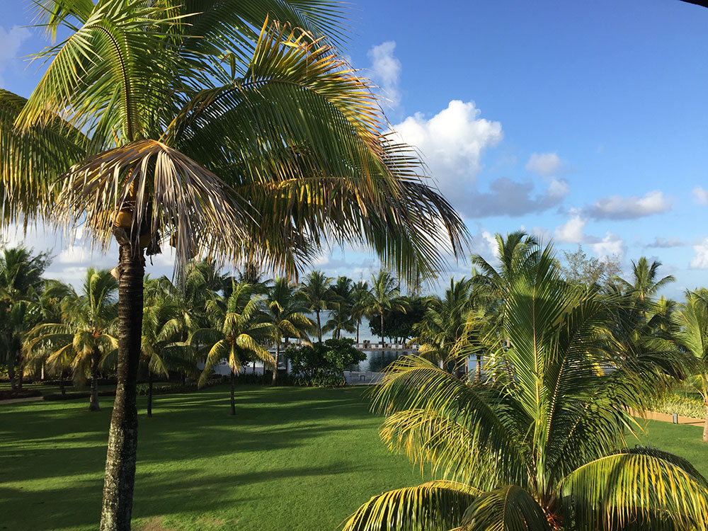 Mauritius Resort