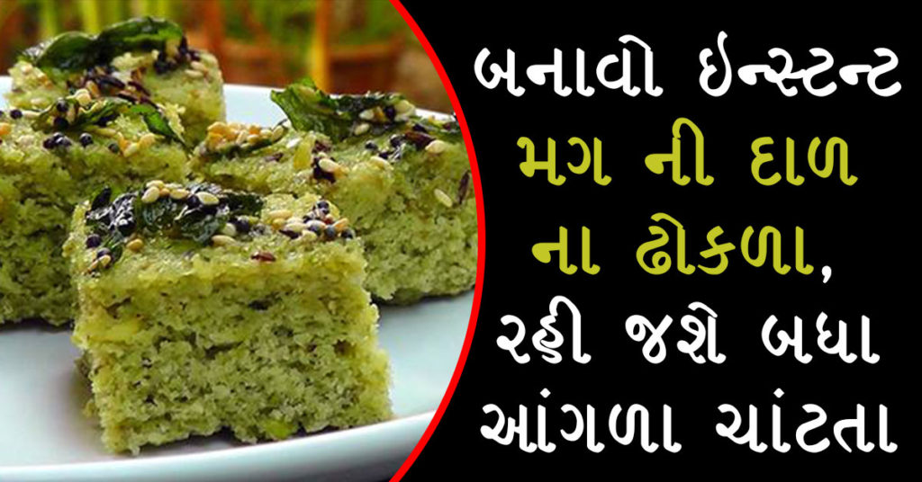 mag-ni-dal-na-dhokla